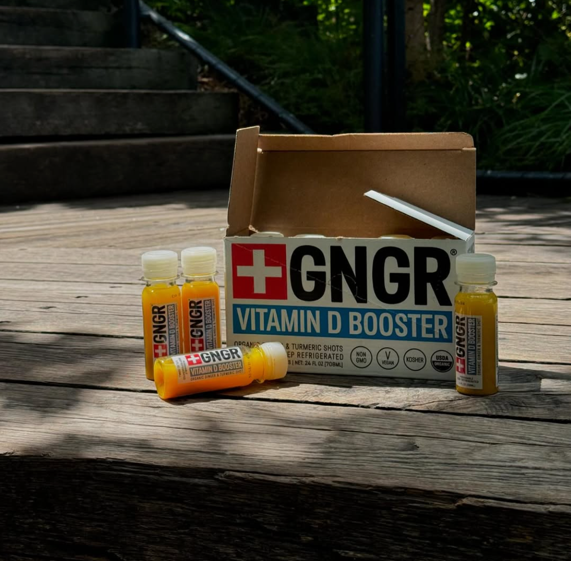 GNGR Labs