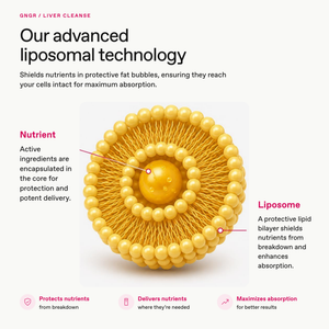 Liposomal Liver Cleanse Gel