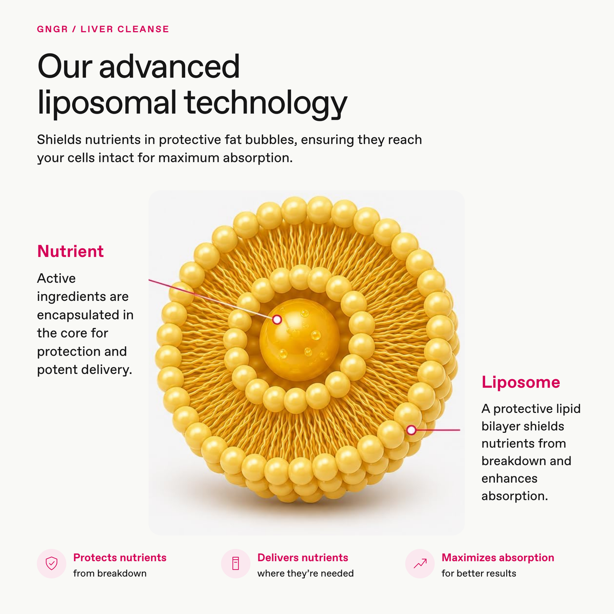 Liposomal Liver Cleanse Gel